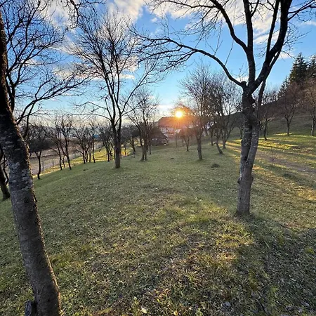 сикитура