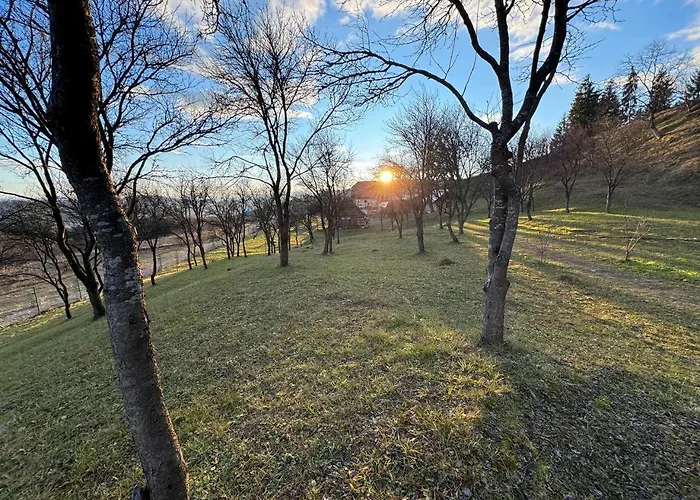сикитура